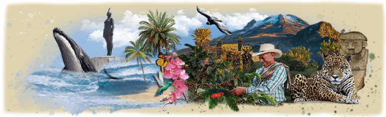 Colombia tierra de la vida